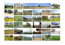 Ein Jahr auf den Rheinwiesen