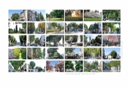 Alleen, Parks und Plätze